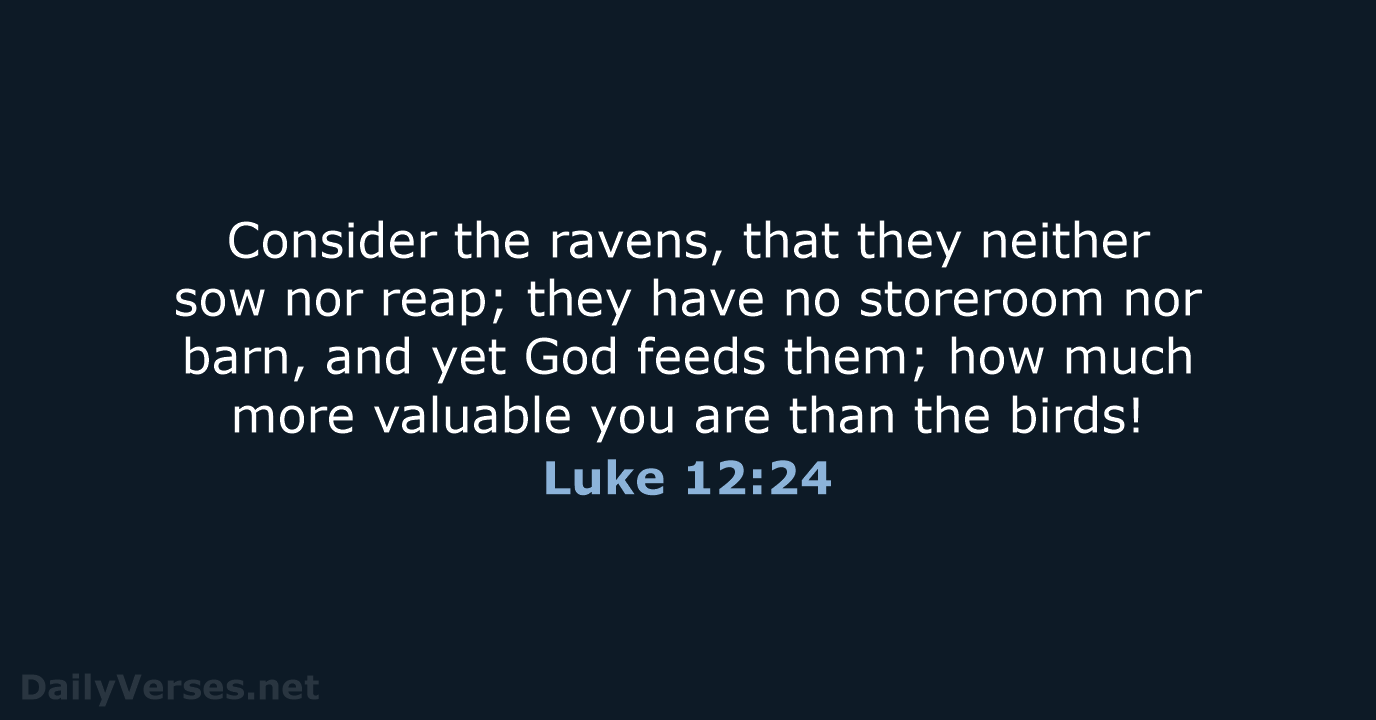 Luke 12:24 - NASB