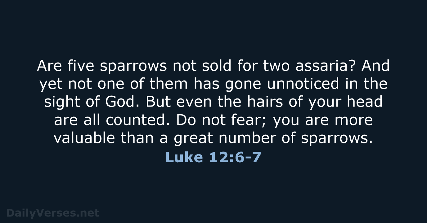 Luke 12:6-7 - NASB