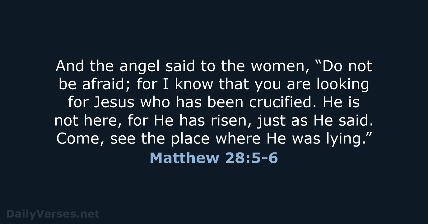 And the angel said to the women, “Do not be afraid; for… Matthew 28:5-6