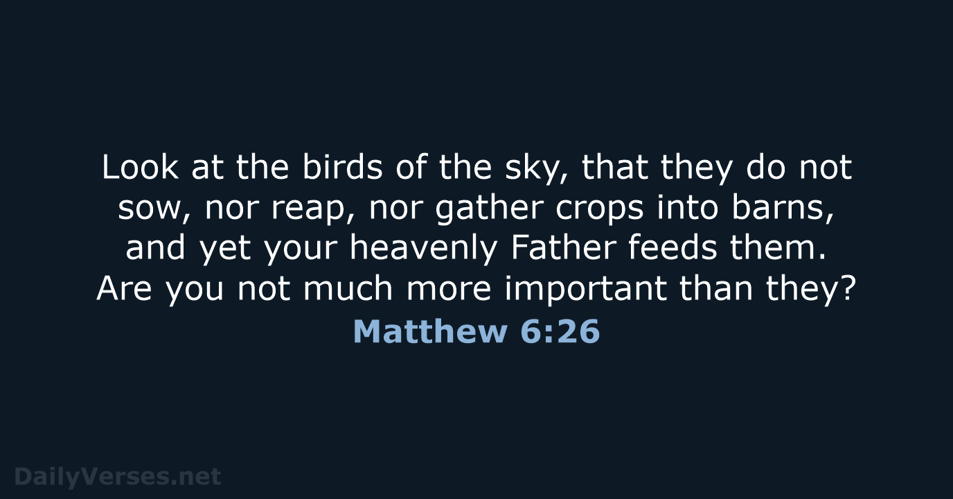 Matthew 6:26 - NASB