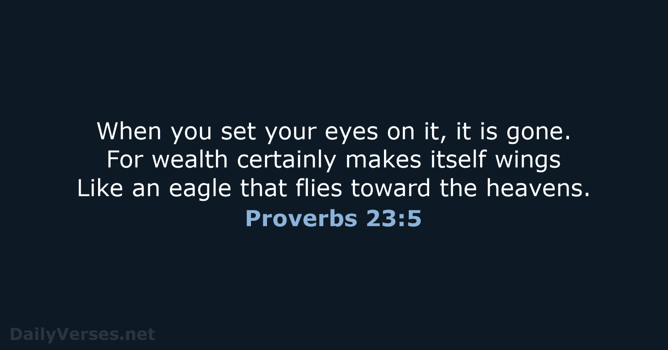 Proverbs 23:5 - NASB