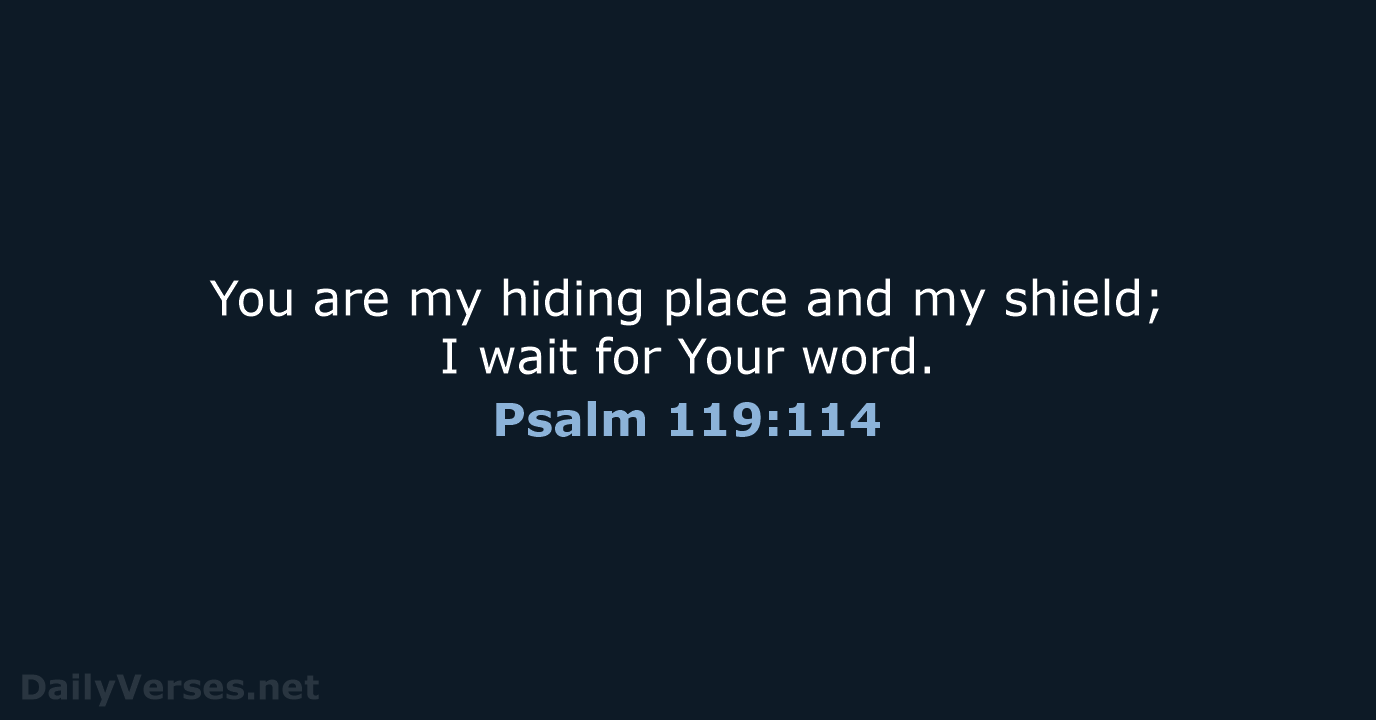 You are my hiding place and my shield; I wait for Your word. Psalm 119:114