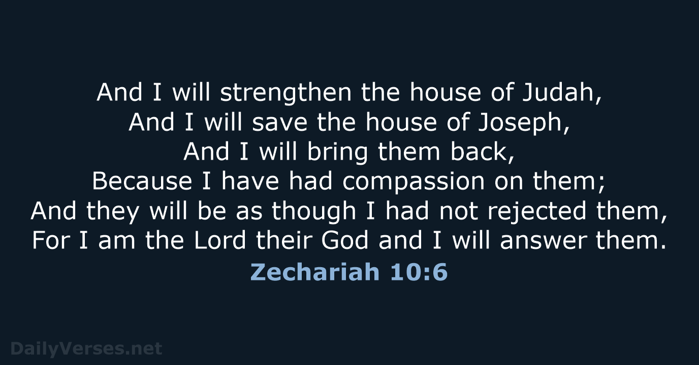 Zechariah 10:6 - NASB