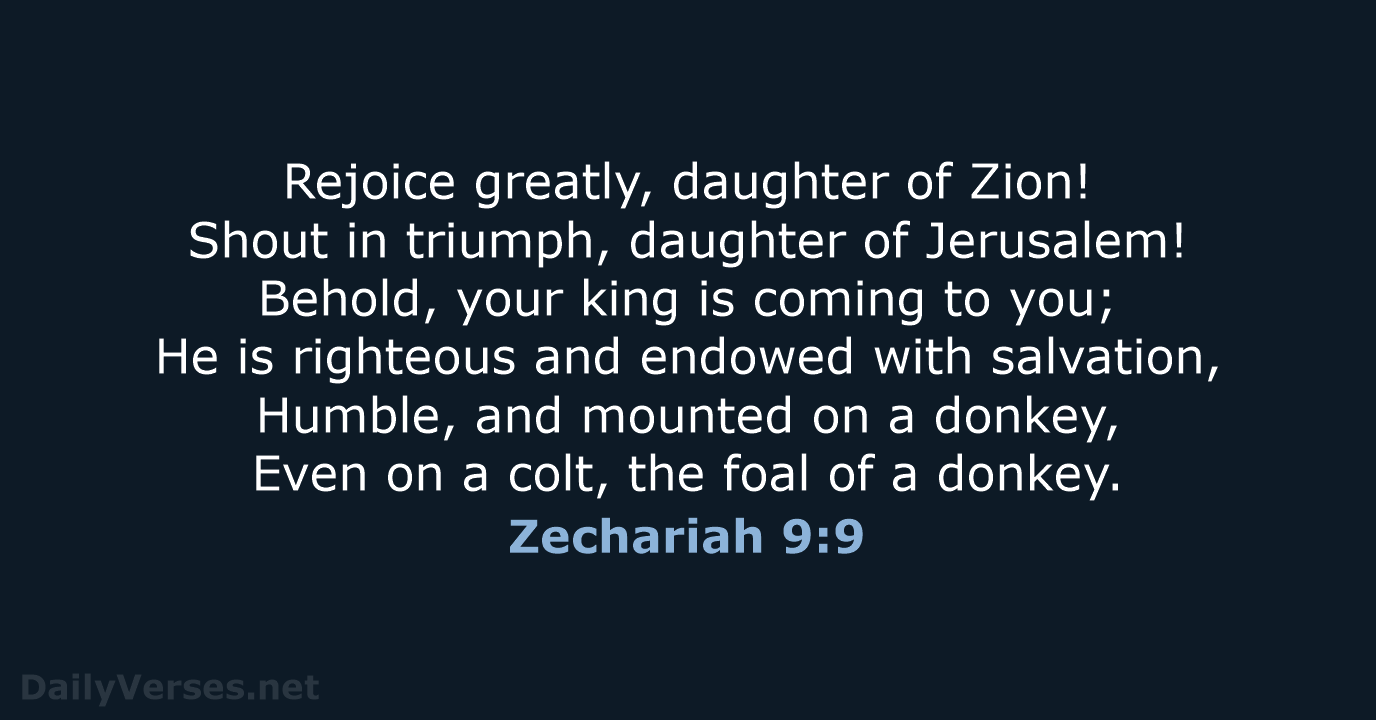 Zechariah 9:9 - NASB