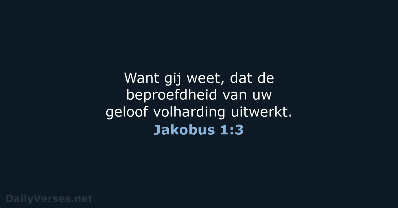 Jakobus 1:3 - NBG