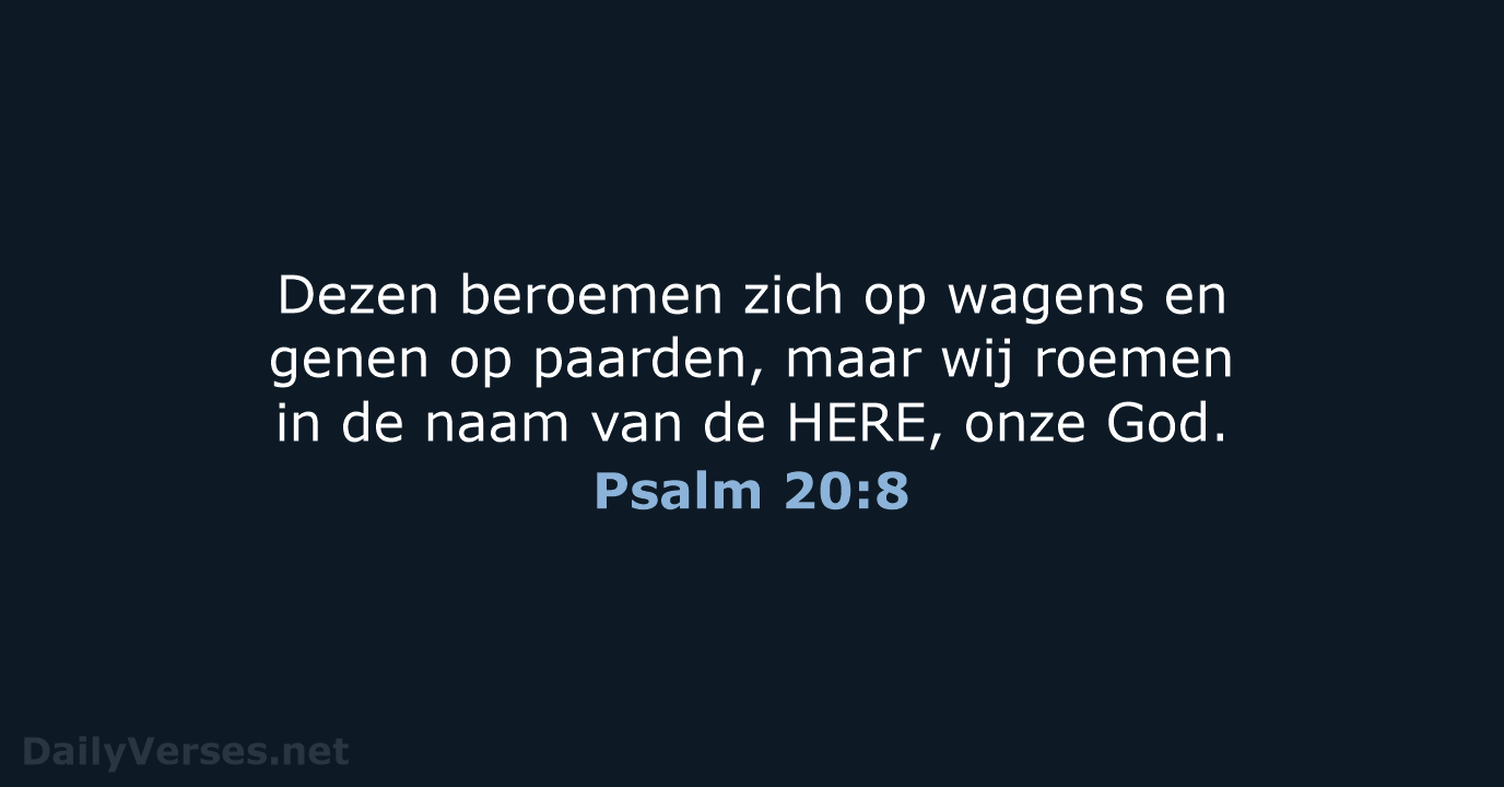 Psalm 20:8 - NBG