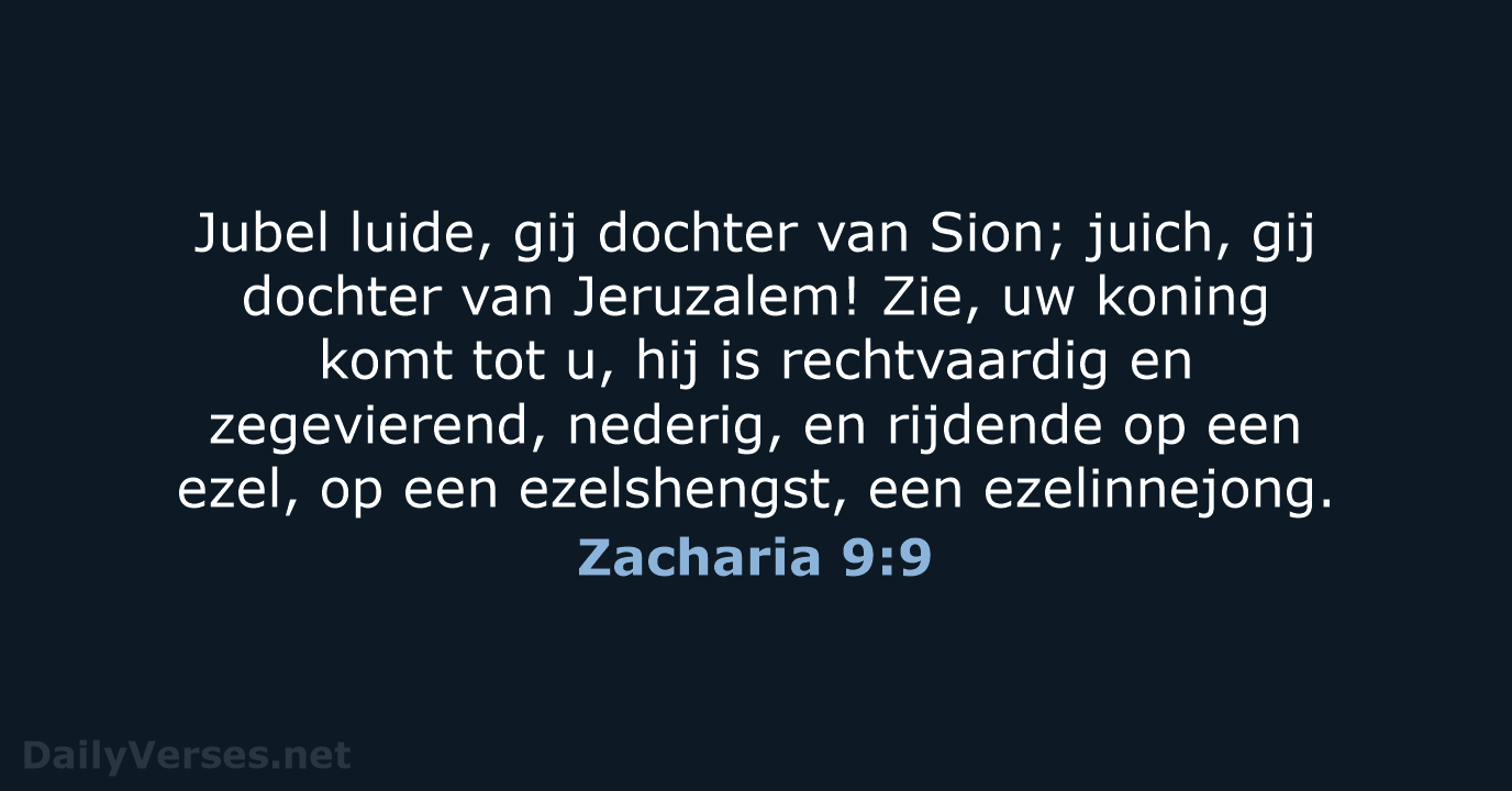 Zacharia 9:9 - NBG