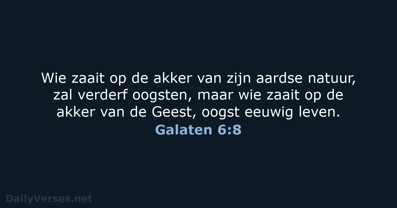 Galaten 6:8 - NBV21