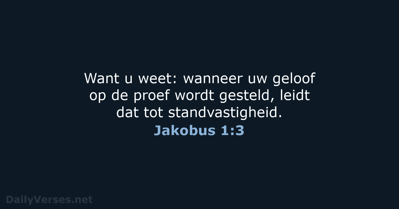 Jakobus 1:3 - NBV21