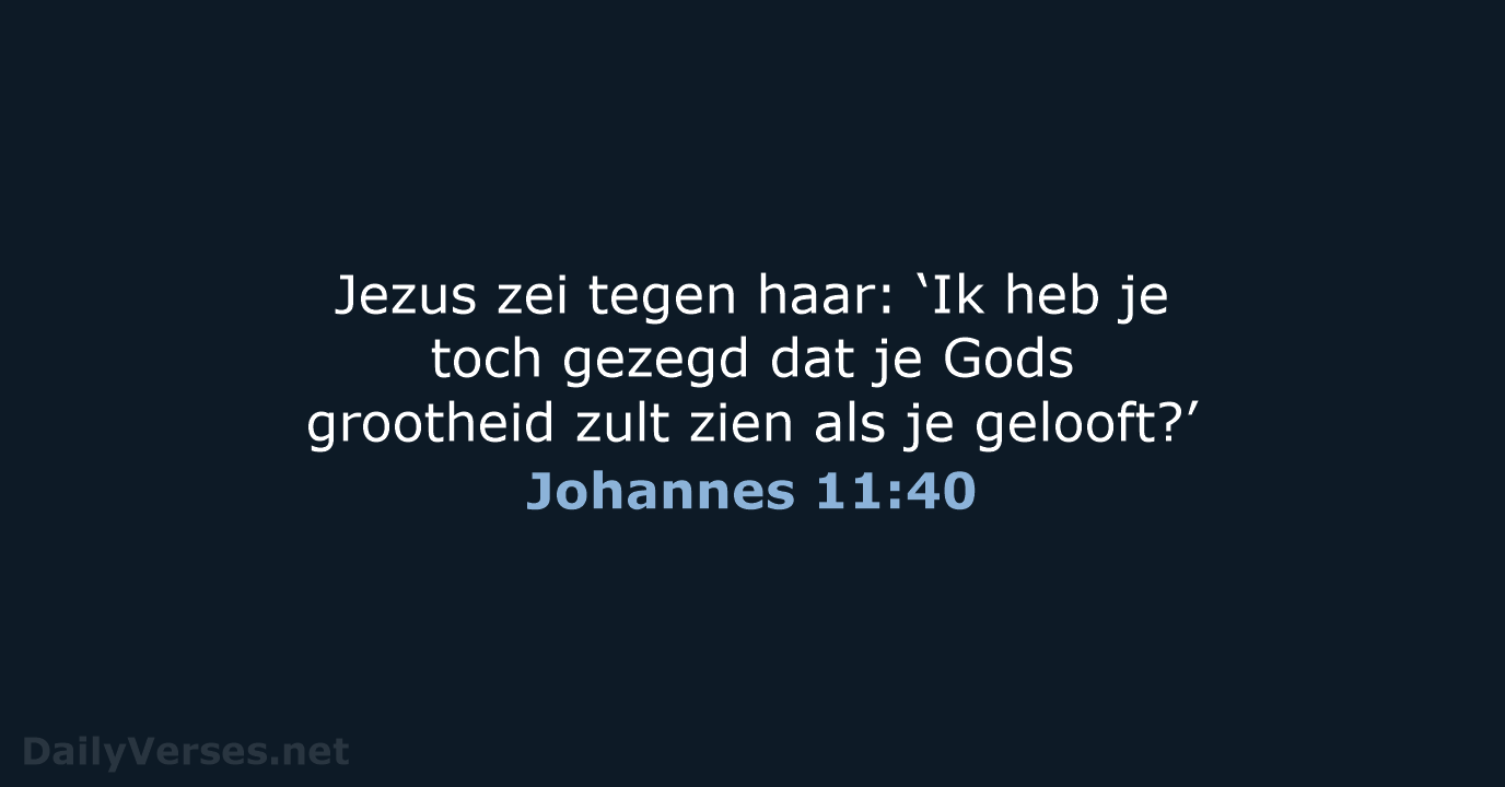 Johannes 11:40 - NBV21
