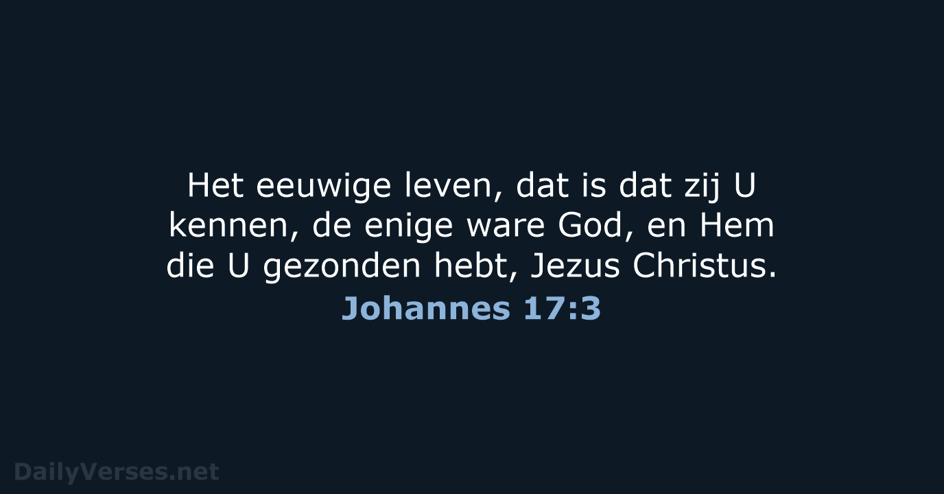 Johannes 17:3 - NBV21
