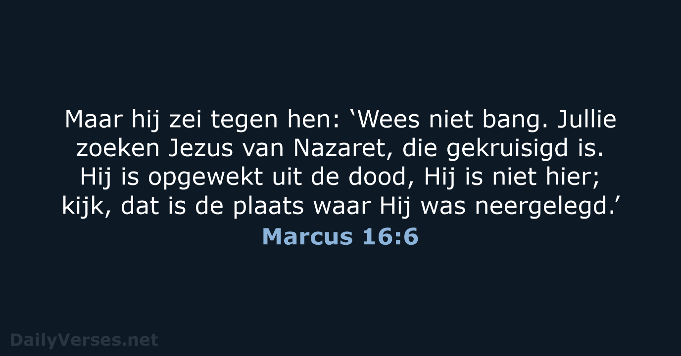 Marcus 16:6 - NBV21