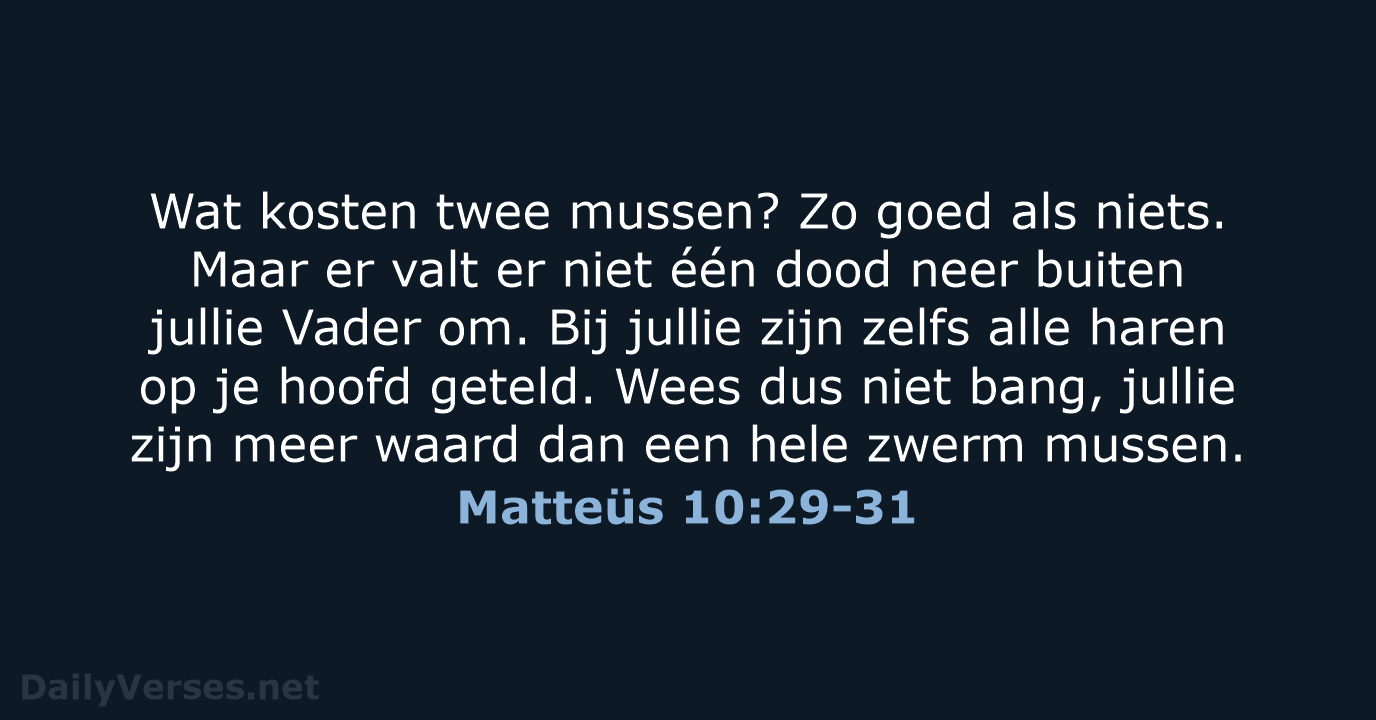 Matteüs 10:29-31 - NBV21