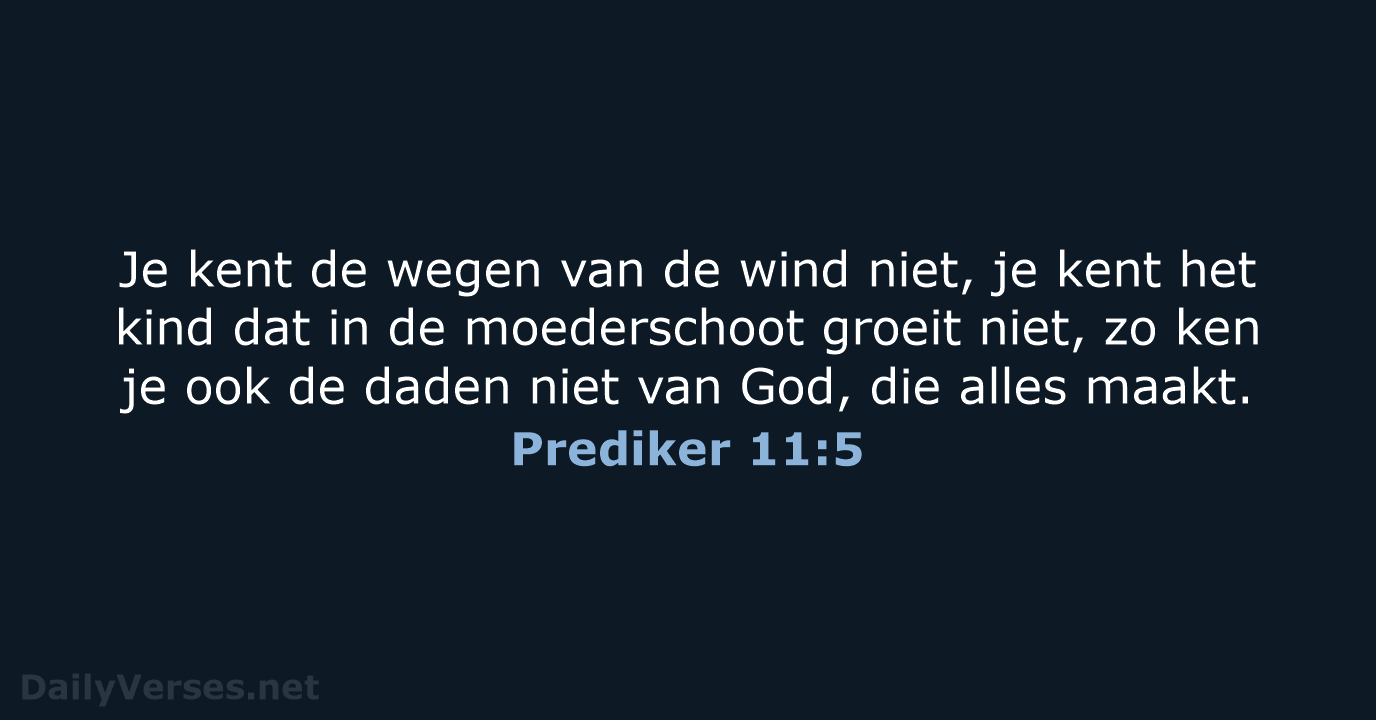 Prediker 11:5 - NBV21