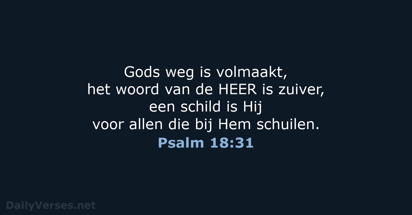 Psalm 18:31 - NBV21