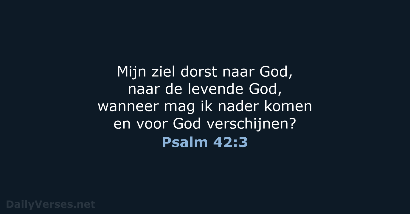 Psalm 42:3 - NBV21