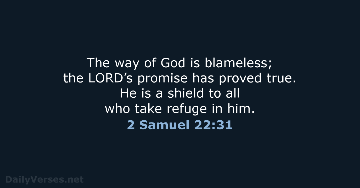 The way of God is blameless; the LORD’s promise has proved true… 2 Samuel 22:31