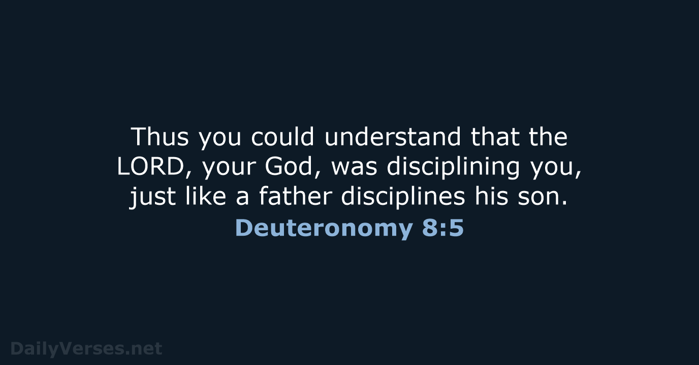 Deuteronomy 8:5 - NCB