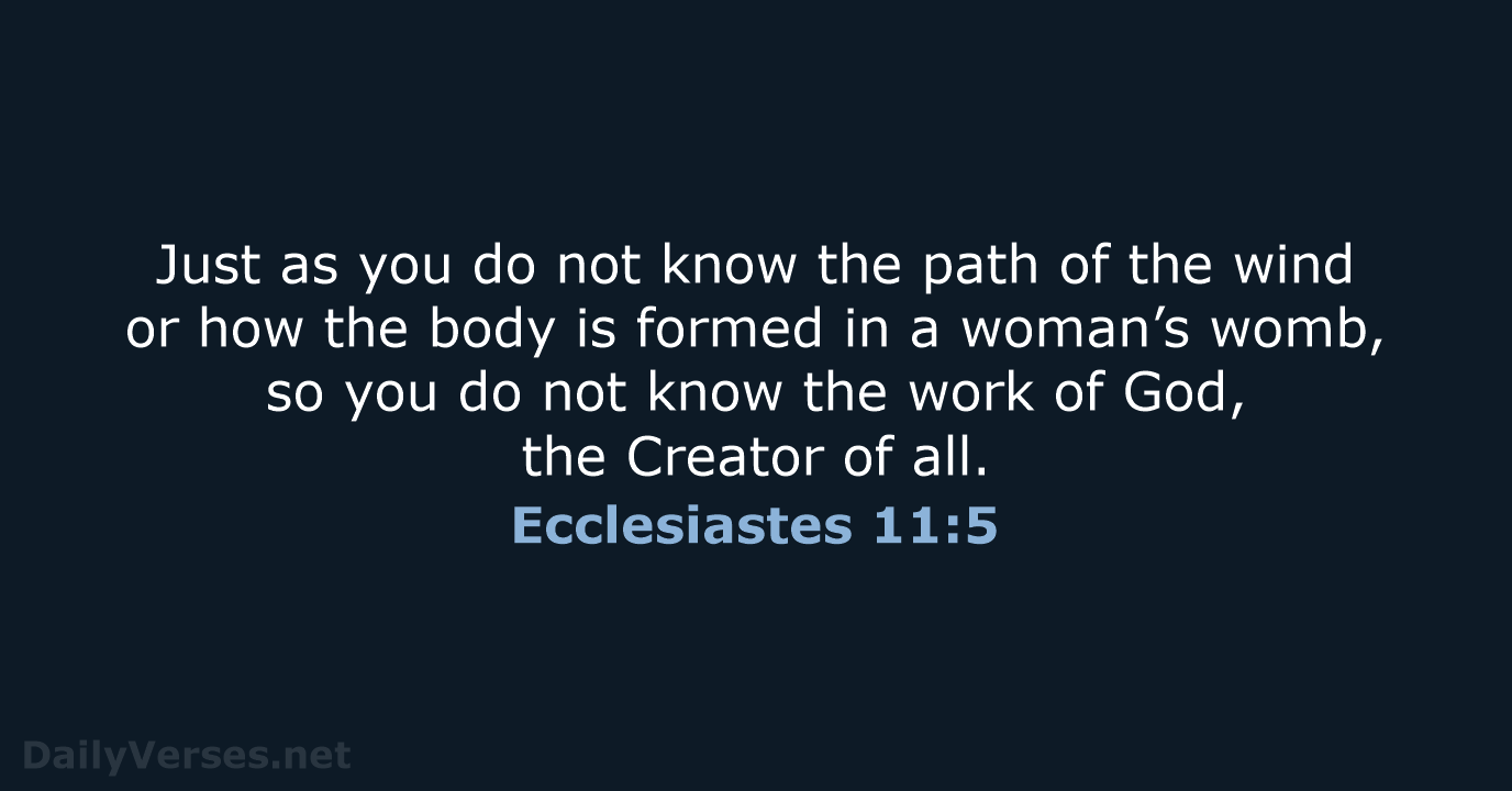 Just as you do not know the path of the wind or… Ecclesiastes 11:5