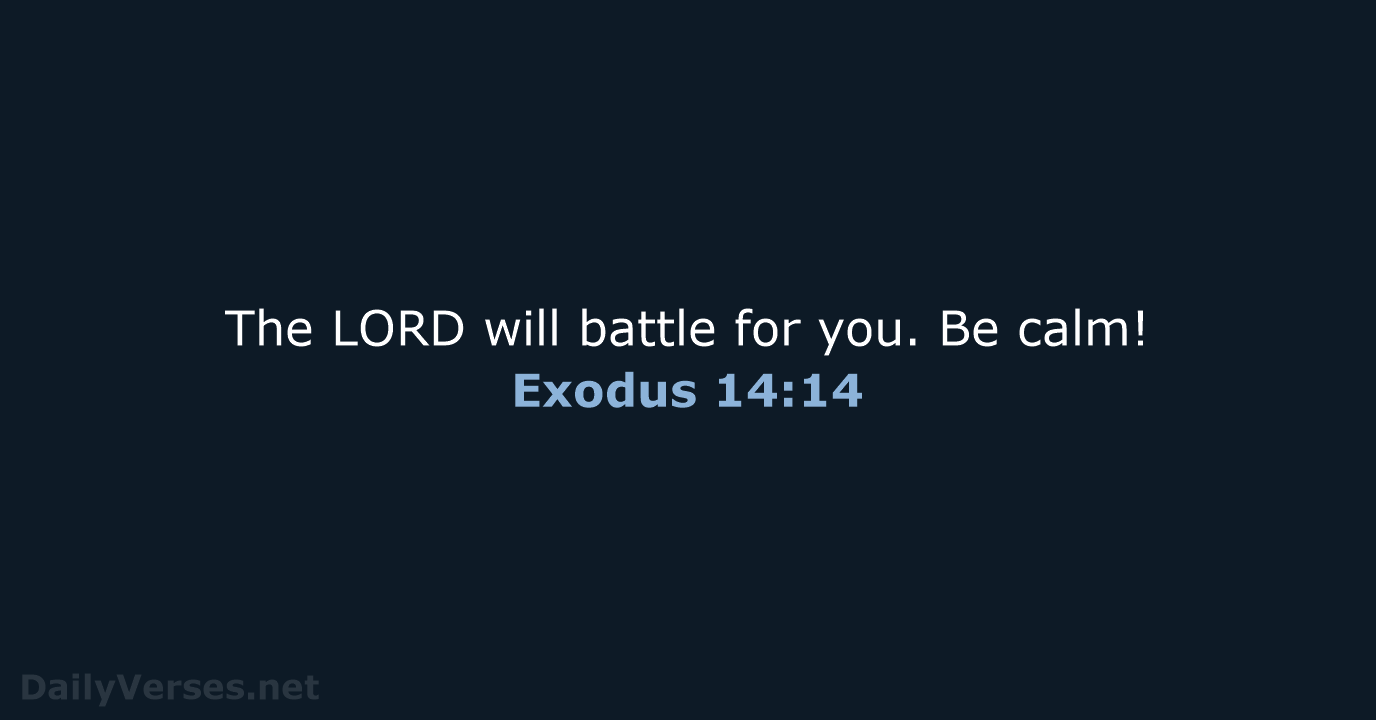 The LORD will battle for you. Be calm! Exodus 14:14