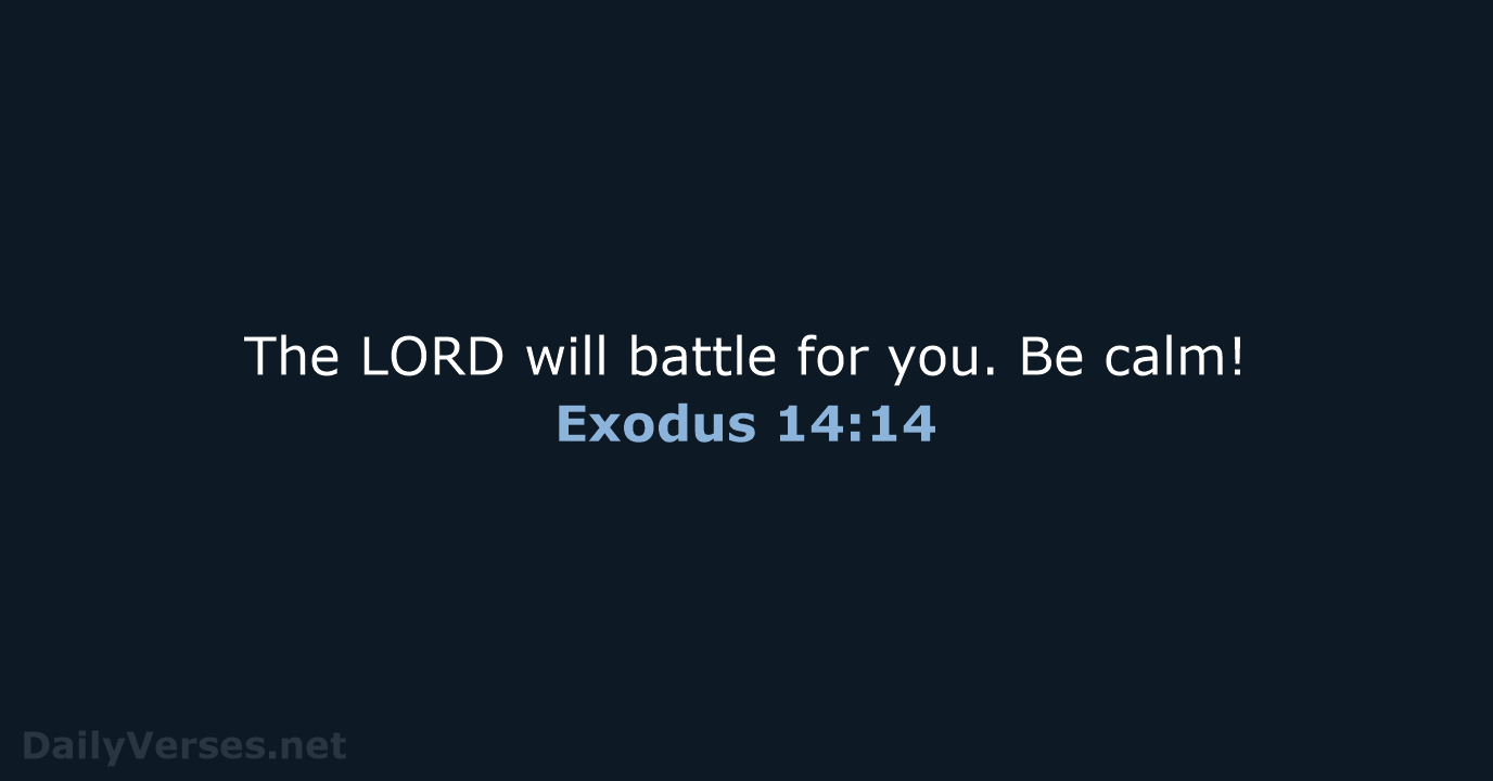 Exodus 14:14 - NCB