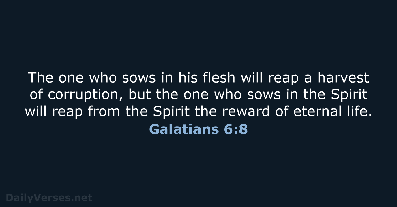 Galatians 6:8 - NCB