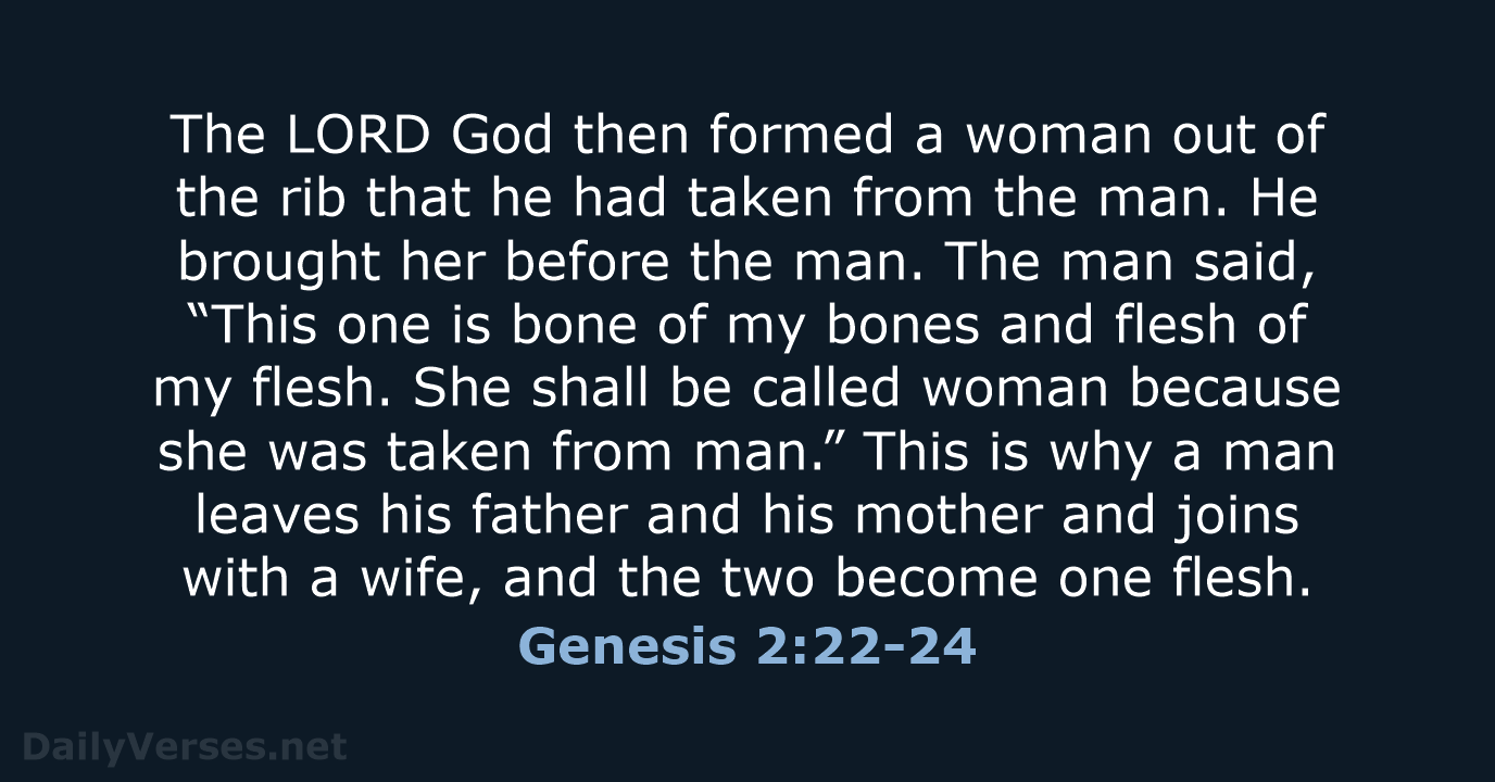 The LORD God then formed a woman out of the rib that… Genesis 2:22-24