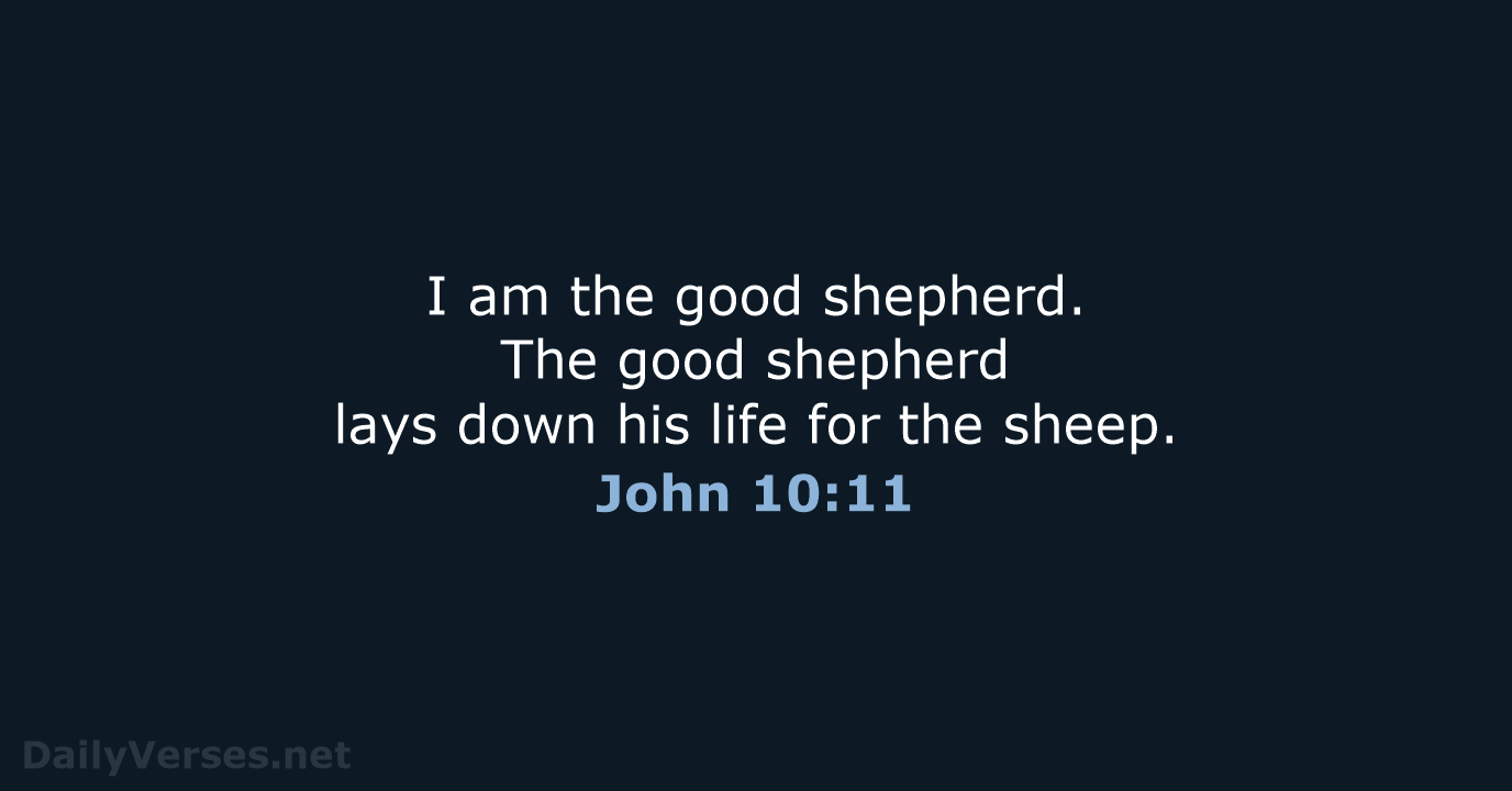 I am the good shepherd. The good shepherd lays down his life… John 10:11