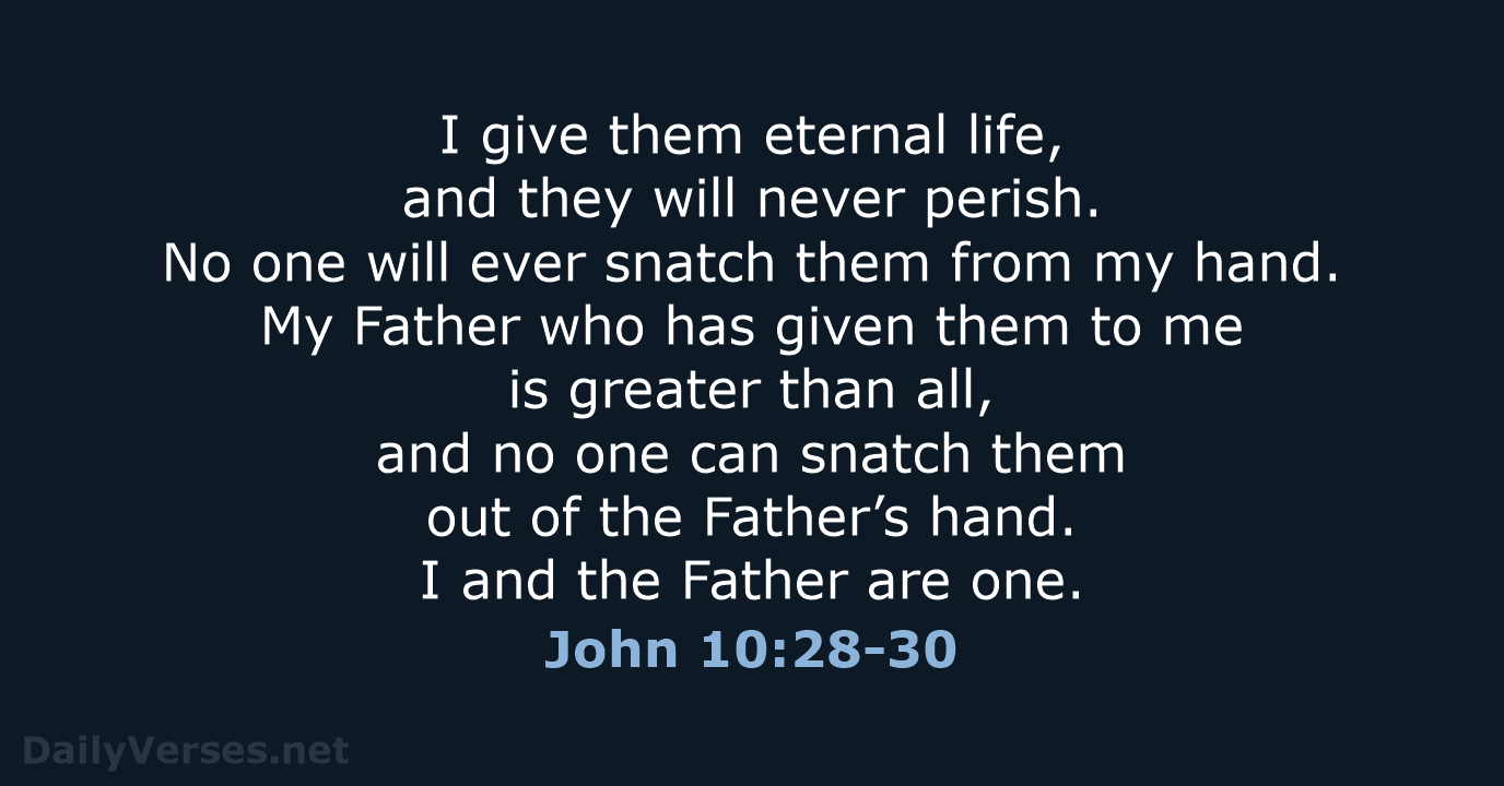 I give them eternal life, and they will never perish. No one… John 10:28-30