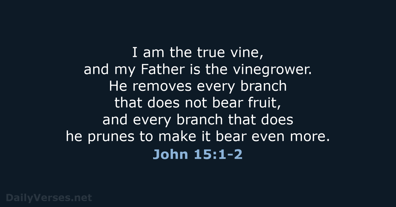 I am the true vine, and my Father is the vinegrower. He… John 15:1-2