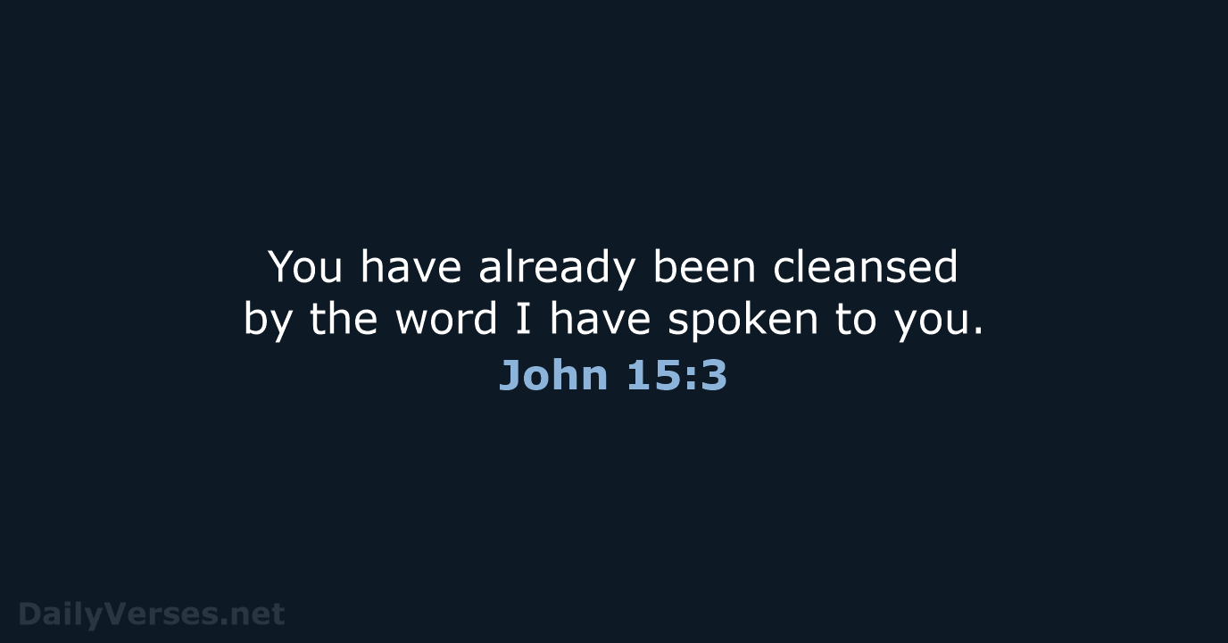 You have already been cleansed by the word I have spoken to you. John 15:3