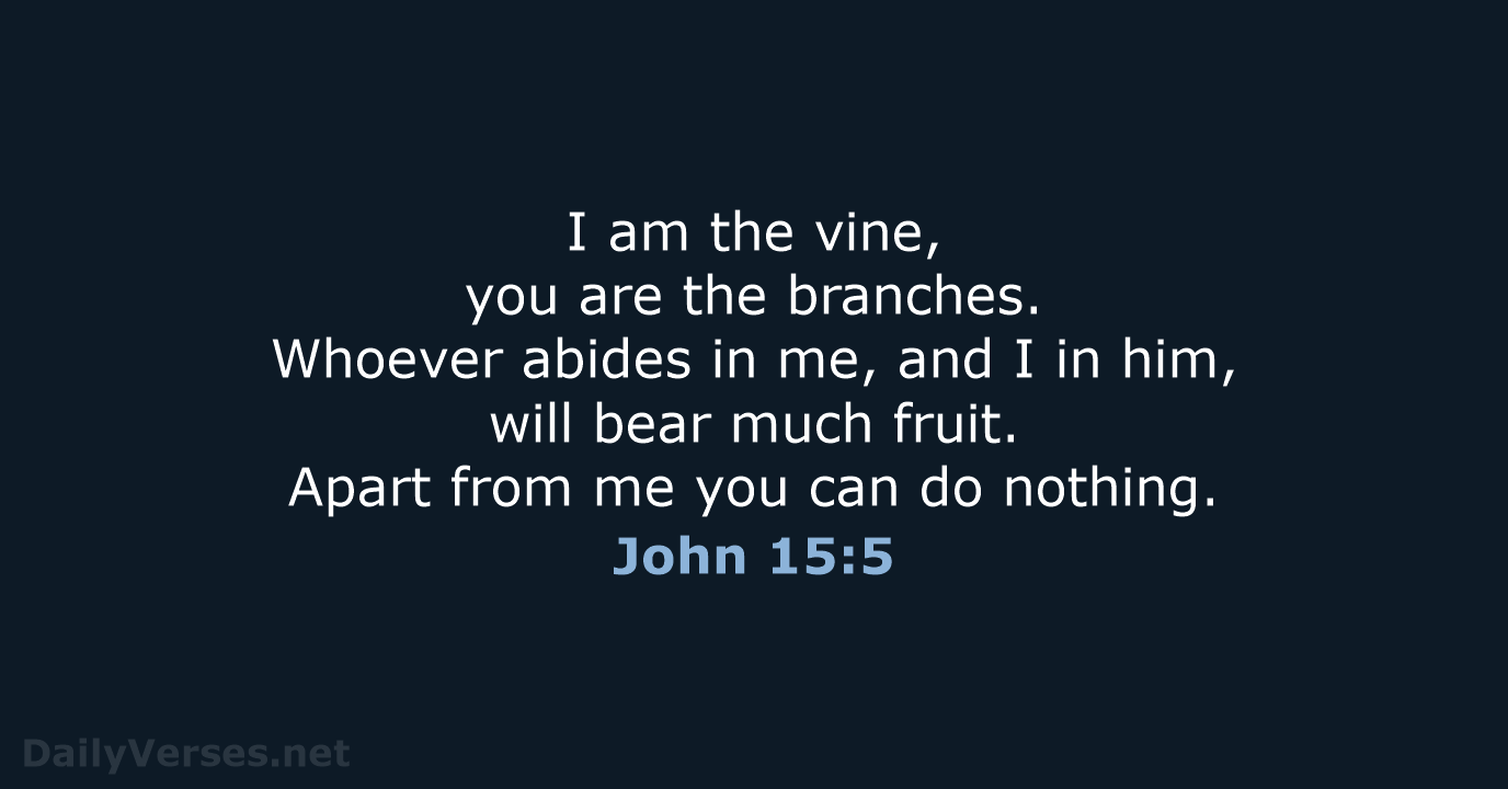 John 15:5 - NCB
