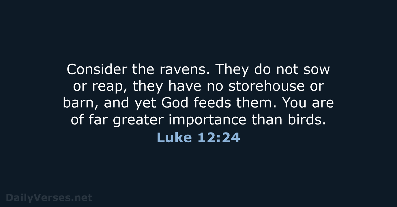 Luke 12:24 - NCB