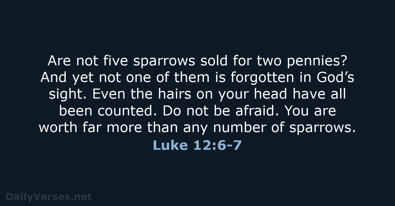 Are not five sparrows sold for two pennies? And yet not one… Luke 12:6-7