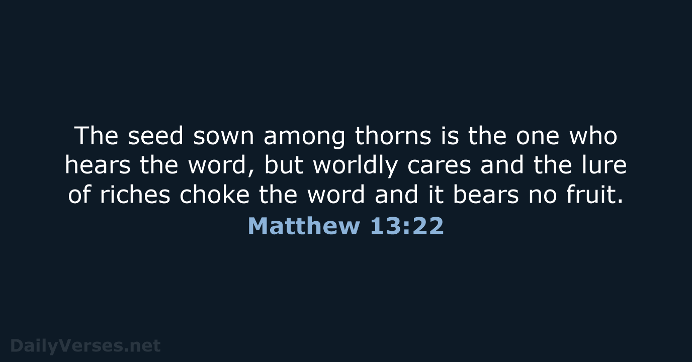 Matthew 13:22 - NCB
