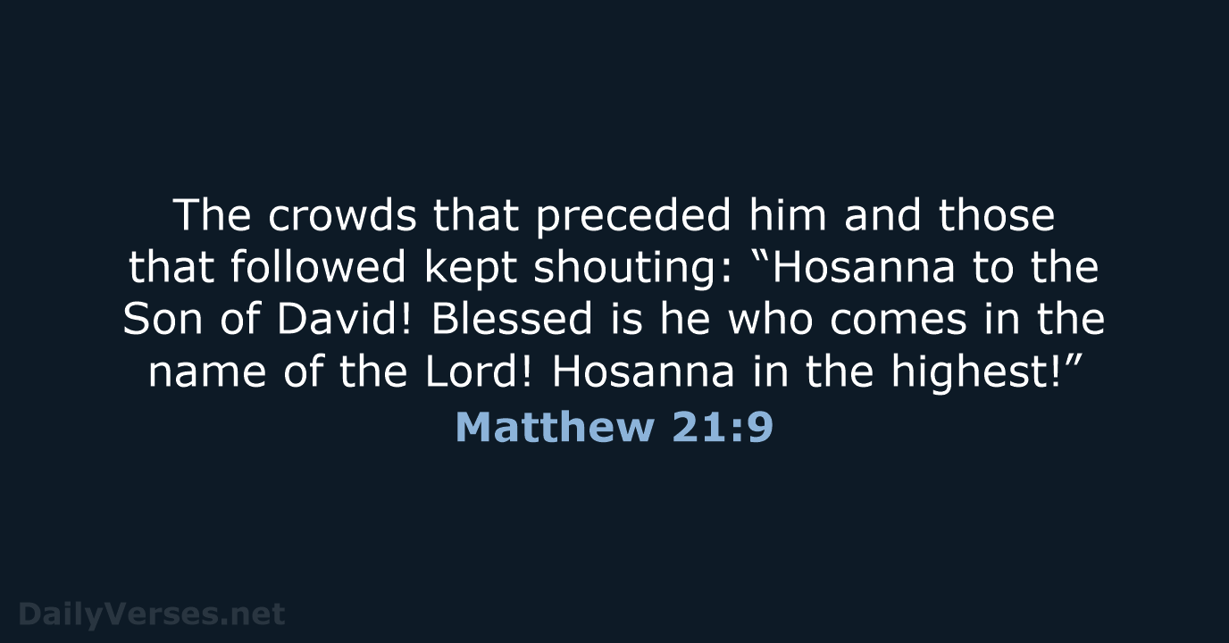 Matthew 21:9 - NCB