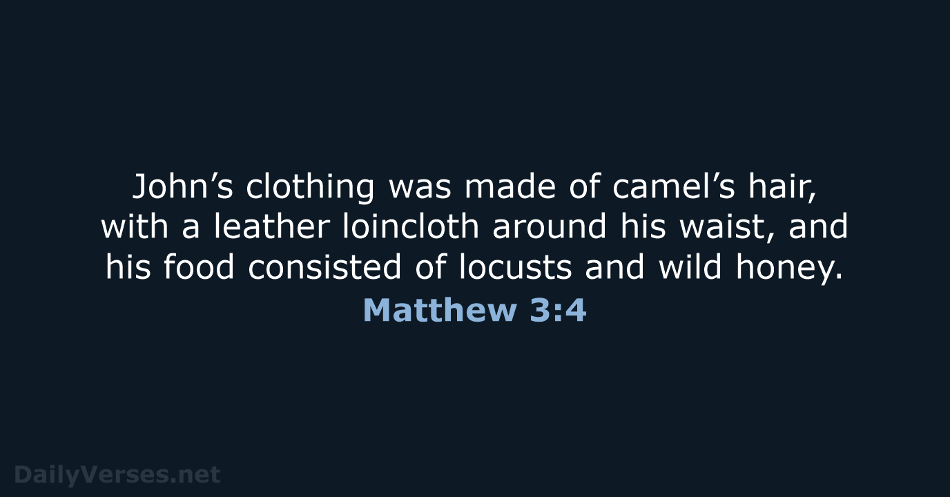 John’s clothing was made of camel’s hair, with a leather loincloth around… Matthew 3:4
