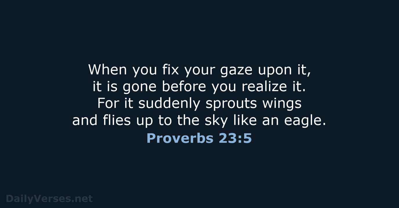 When you fix your gaze upon it, it is gone before you… Proverbs 23:5