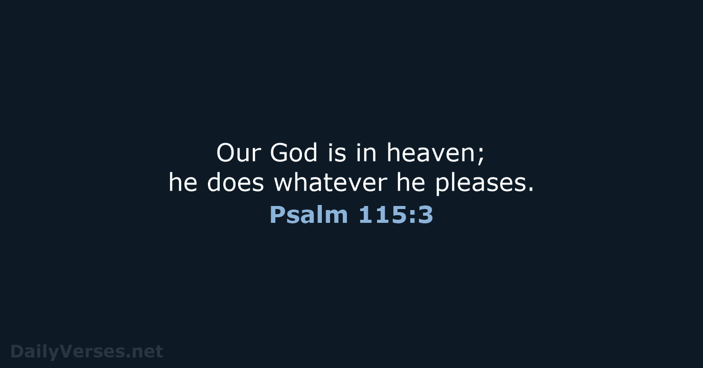Our God is in heaven; he does whatever he pleases. Psalm 115:3
