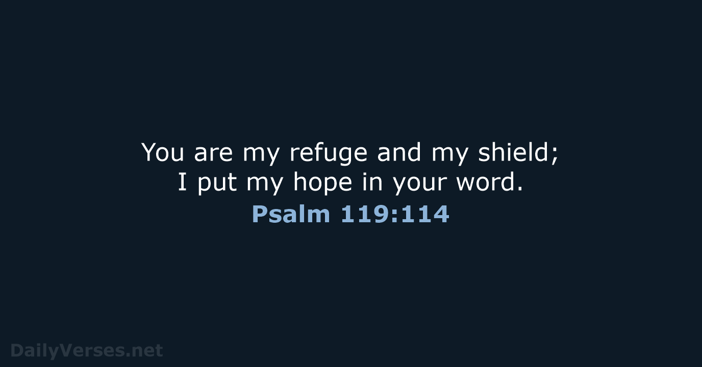 You are my refuge and my shield; I put my hope in your word. Psalm 119:114