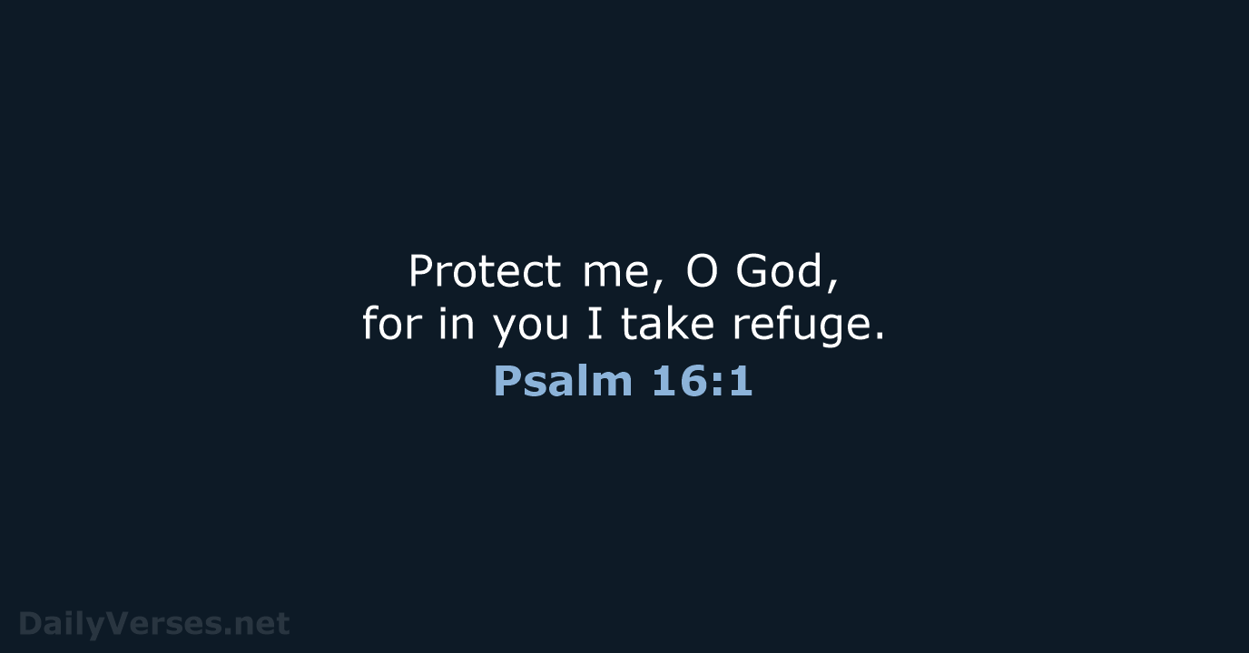 Protect me, O God, for in you I take refuge. Psalm 16:1