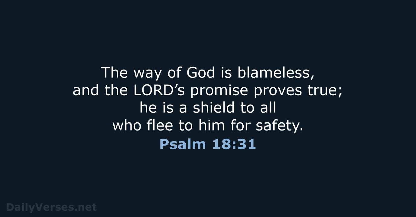 The way of God is blameless, and the LORD’s promise proves true… Psalm 18:31