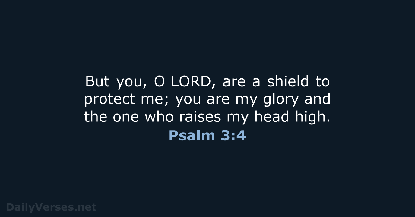 But you, O LORD, are a shield to protect me; you are my… Psalm 3:4