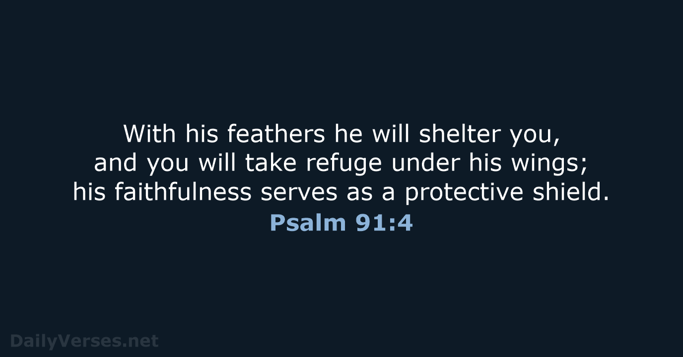With his feathers he will shelter you, and you will take refuge… Psalm 91:4