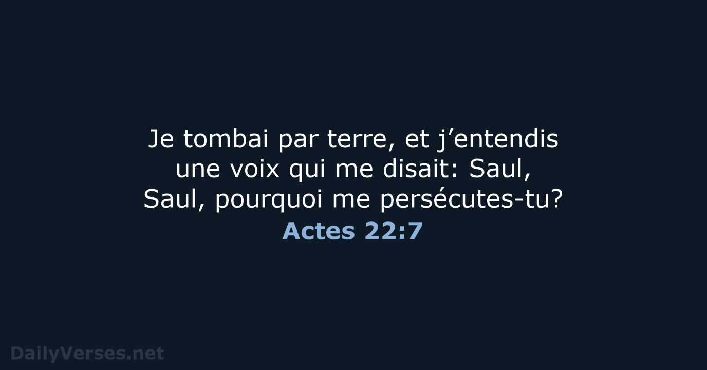 Actes 22:7 - NEG79