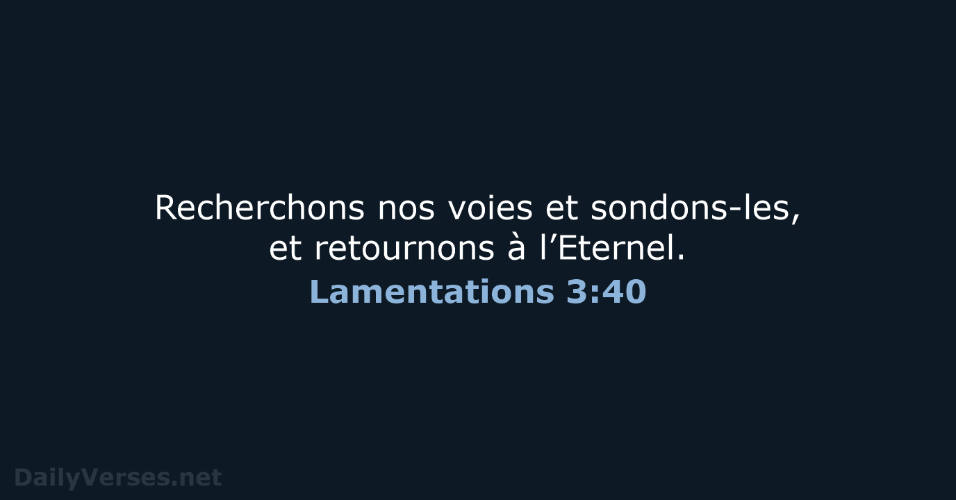Lamentations 3:40 - NEG79