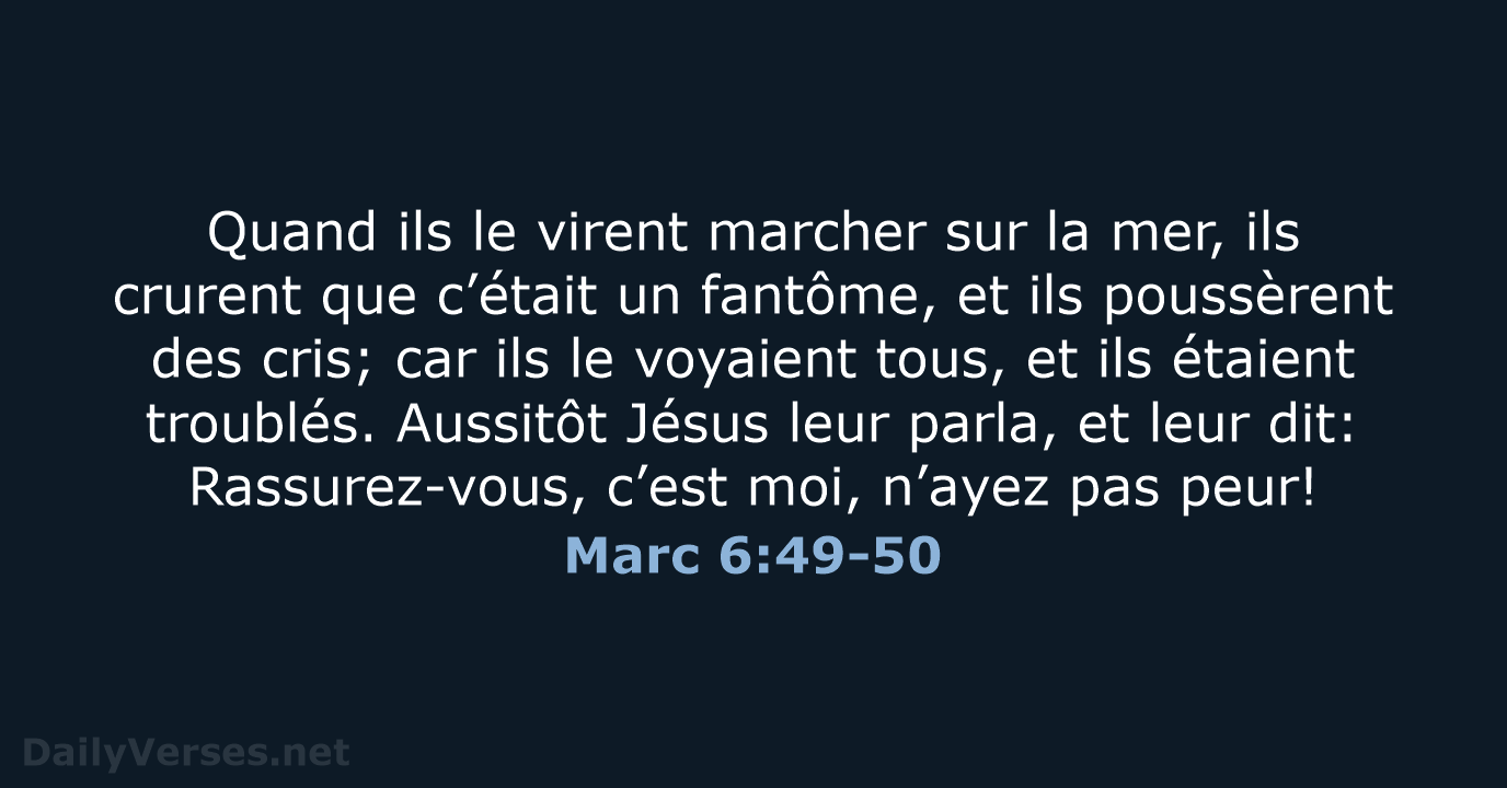 Marc 6:49-50 - NEG79