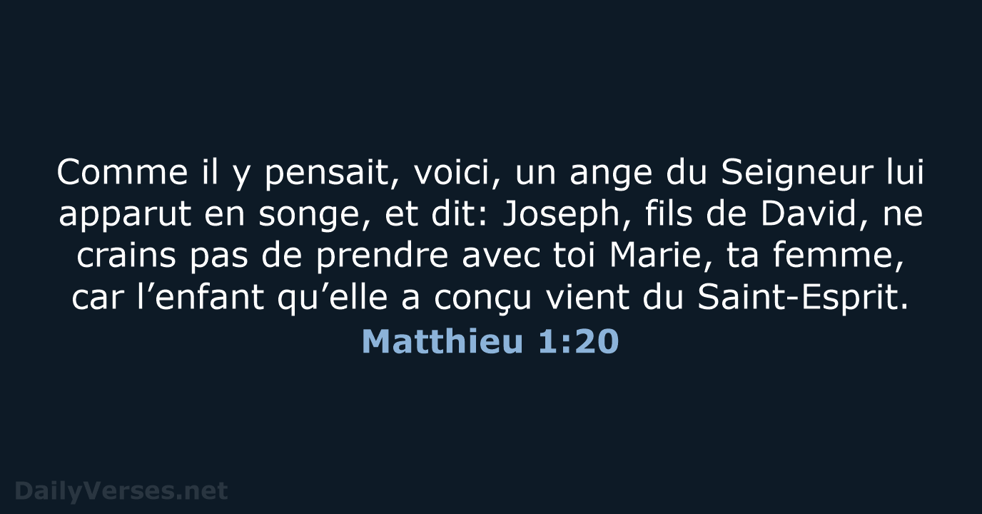 Matthieu 1:20 - NEG79