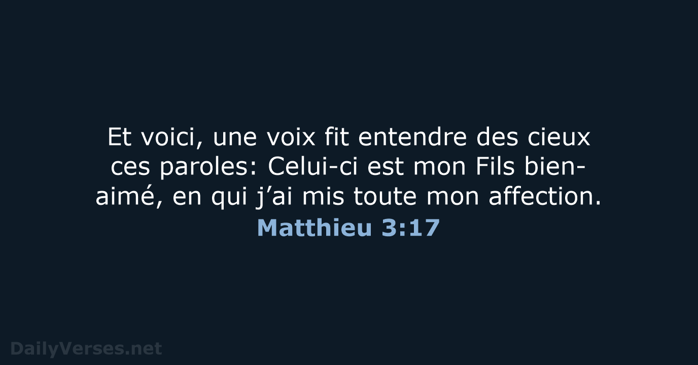Matthieu 3:17 - NEG79