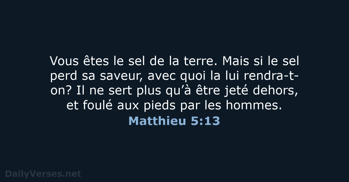 Matthieu 5:13 - NEG79